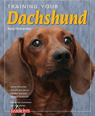 Book cover for Training Your Dachshund