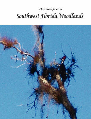 Book cover for Scenes from Southwest Florida Woodlands