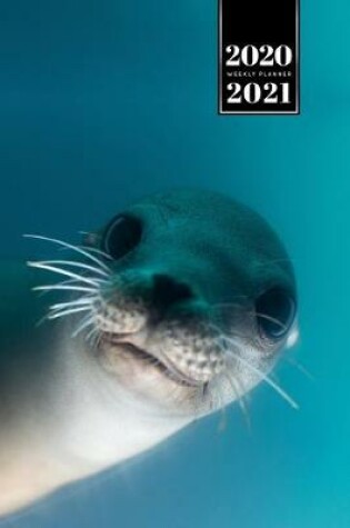 Cover of Seal Manatee Sea Lion Cow Walrus Dugong Week Planner Weekly Organizer Calendar 2020 / 2021 - Underwater