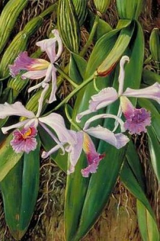Cover of Marianne North Orchids in Art Pink Orchid