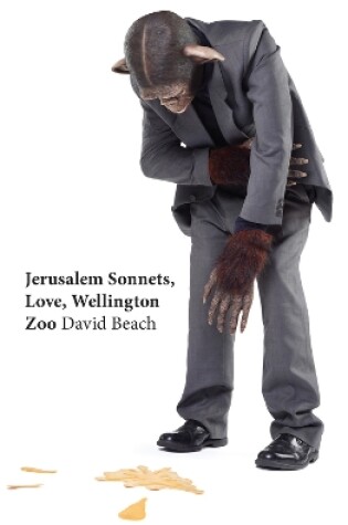 Cover of Jerusalem Sonnets Love Wellington Zoo