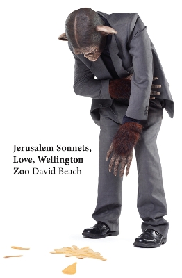 Book cover for Jerusalem Sonnets Love Wellington Zoo