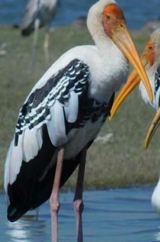 Cover of Painted Stork (Birds of the World)