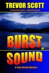 Book cover for Burst of Sound