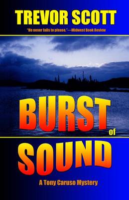 Cover of Burst of Sound