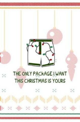 Cover of The Only Package I Want This Christmas Is Yours