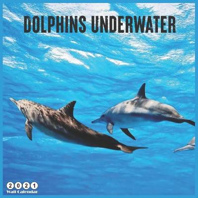 Book cover for Dolphins Underwater 2021 Calendar