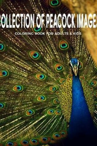 Cover of Collection Of Peacock Images Coloring Book For Adults & Kids