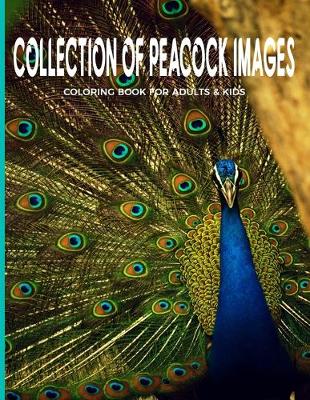 Book cover for Collection Of Peacock Images Coloring Book For Adults & Kids