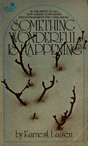 Book cover for Something Wonderful is Happening