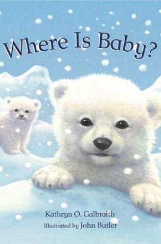 Cover of Where is Baby?