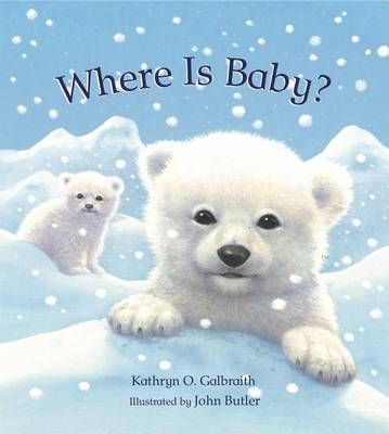 Book cover for Where is Baby?