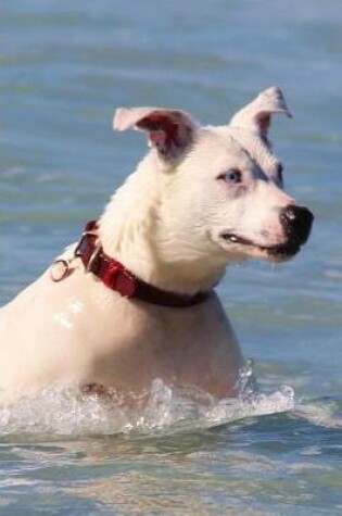 Cover of Happy Dog Swimming in the Ocean Pet Journal