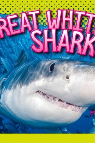 Cover of Great White Sharks