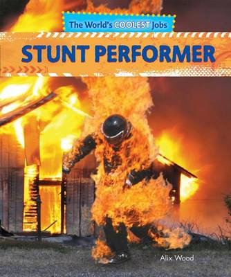 Book cover for Stunt Performer