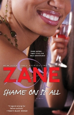 Book cover for Shame on It All