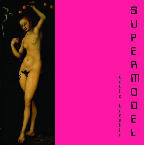 Book cover for Supermodel