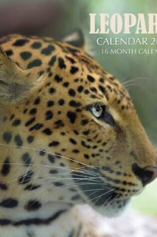 Cover of Leopard Calendar 2020