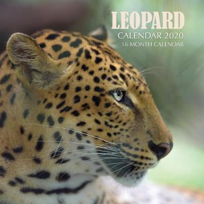 Book cover for Leopard Calendar 2020