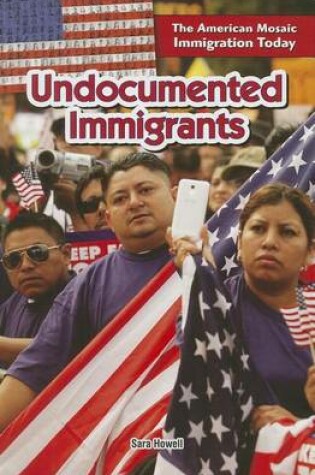 Cover of Undocumented Immigrants