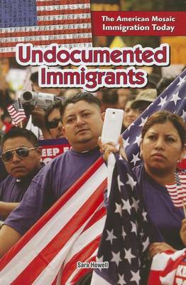 Book cover for Undocumented Immigrants