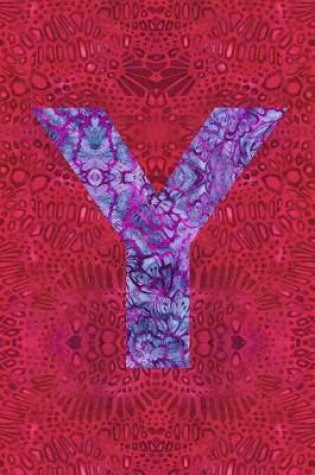 Cover of Y