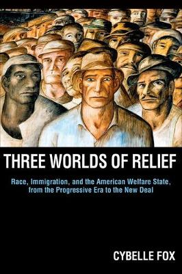 Cover of Three Worlds of Relief