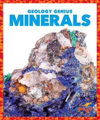 Cover of Minerals