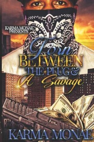 Cover of Torn Between the Plug & A Savage