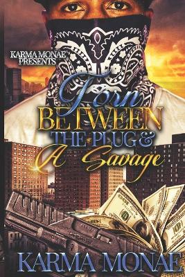 Book cover for Torn Between the Plug & A Savage