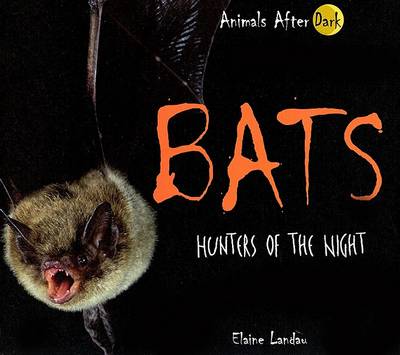 Book cover for Bats