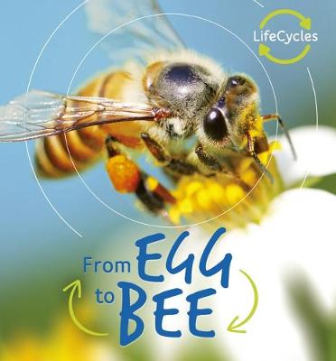 Book cover for From Egg to Bee