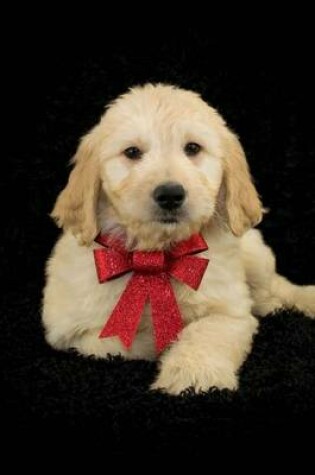 Cover of Goldendoodle Puppy with a Red Bow Designer Dog Journal