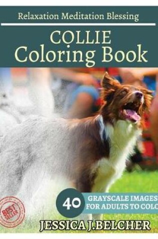 Cover of Collie Coloring Book for Adults Relaxation Meditation Blessing