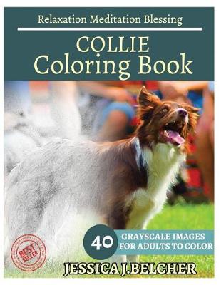 Book cover for Collie Coloring Book for Adults Relaxation Meditation Blessing