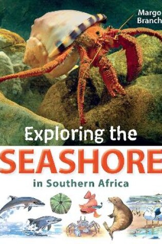 Cover of Exploring the Seashore in Southern Africa