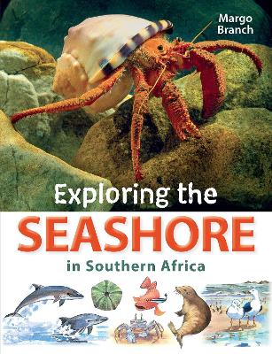 Book cover for Exploring the Seashore in Southern Africa