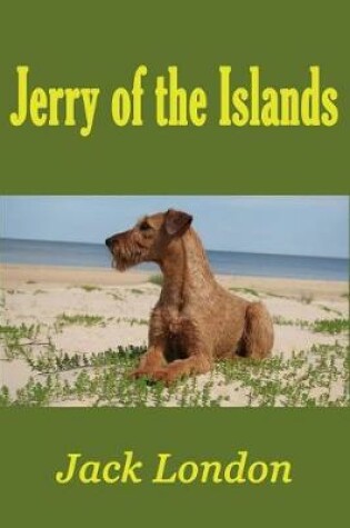 Cover of Jerry of the Islands (Illustrated)