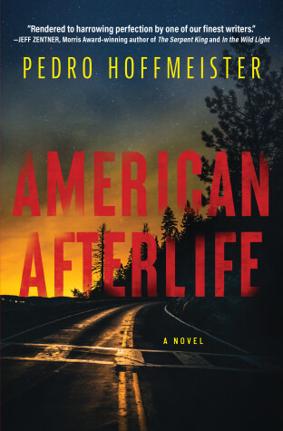 Cover of American Afterlife