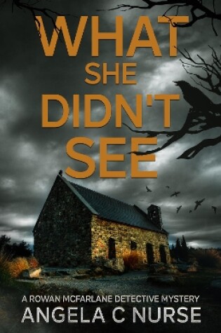 Cover of What She Didn't See