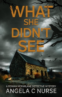 Book cover for What She Didn't See