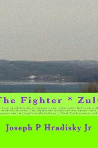 Cover of The Fighter * Zulu