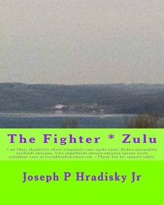 Book cover for The Fighter * Zulu