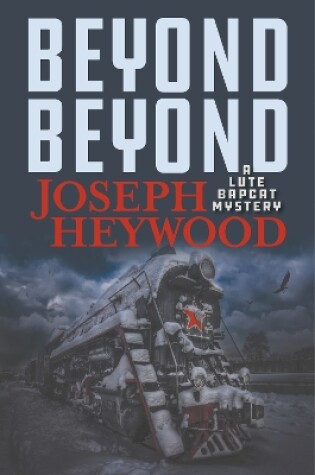 Cover of Beyond Beyond