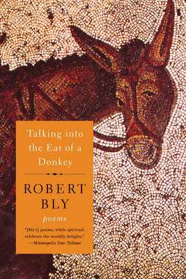 Book cover for Talking Into the Ear of a Donkey
