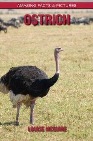 Cover of Ostrich