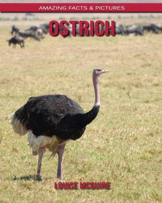 Book cover for Ostrich