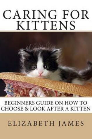 Cover of Caring for Kittens