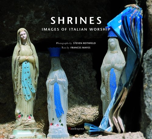 Book cover for Italian Shrines