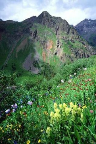 Cover of Rocky Mountains and Wildflowers, Colorado